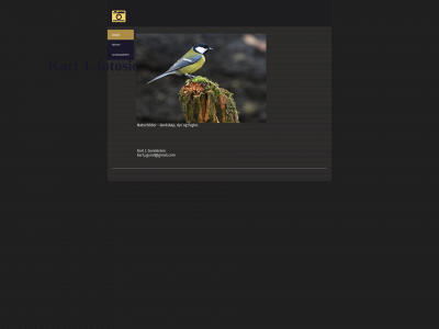 kjg-bildegalleri.com snapshot