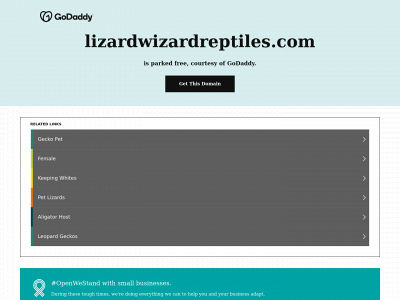 lizardwizardreptiles.com snapshot