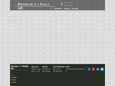 bradgarn-asele.se snapshot