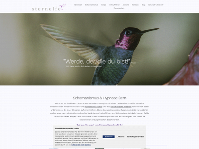 sternelfe.ch snapshot
