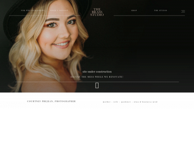 brassandtwine.com snapshot