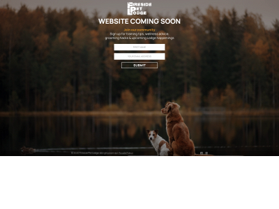 firesidepetlodge.com snapshot