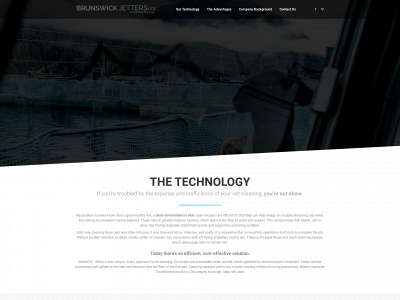 brunswickjetters.com snapshot