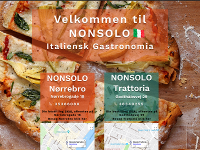 nonsolo.dk snapshot