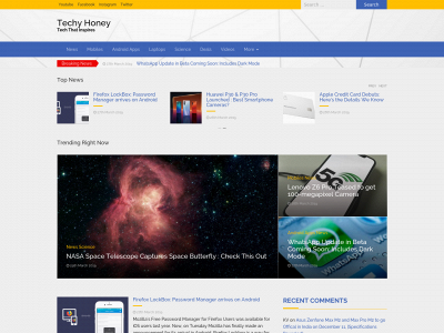 techyhoney.com snapshot