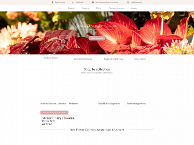 dailyflowers.nl snapshot
