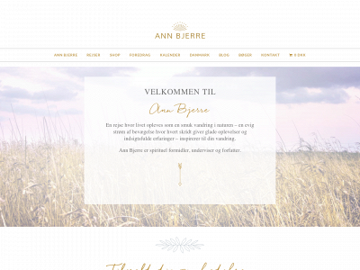 annbjerre.dk snapshot