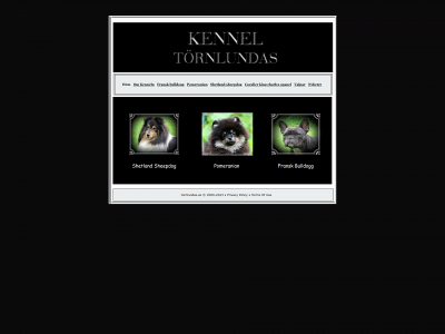 tornlundas.se snapshot