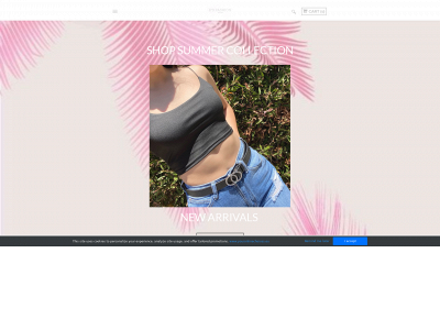www.ksfashionbtq.com snapshot