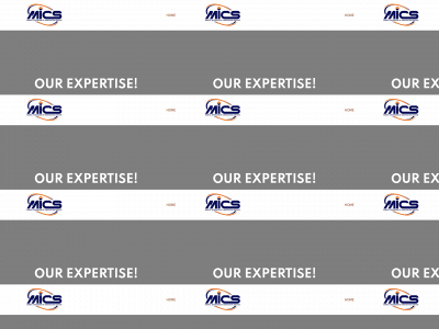 mics.us snapshot