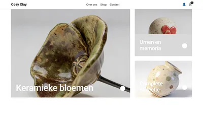 cosyclay.nl snapshot