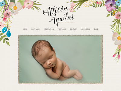 allisonaguilarphotography.com snapshot