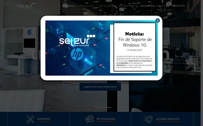 selzur.com snapshot