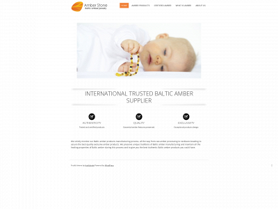 amberstone.lt snapshot