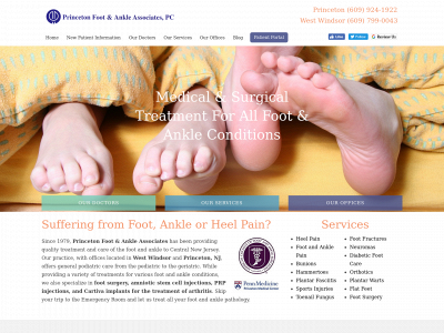 princetonfootandankle.com snapshot