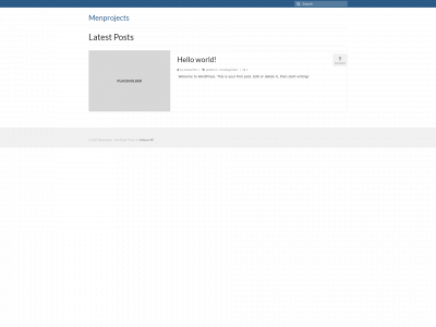menprojects.co.uk snapshot