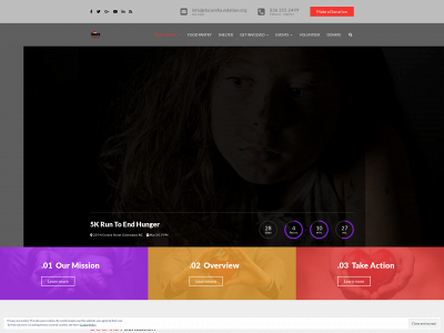 docarefoundation.org snapshot