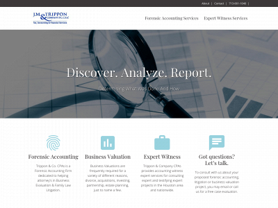forensicaccountinghouston.com snapshot