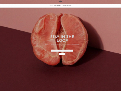 www.thepookey.com snapshot