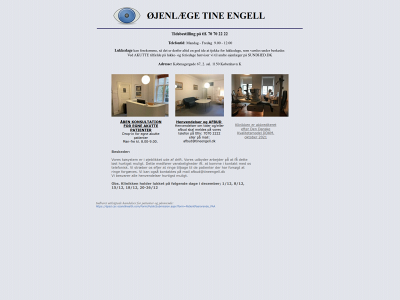 tineengell.dk snapshot