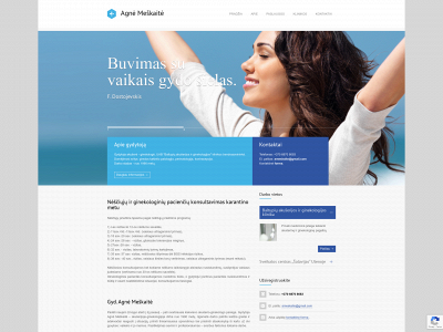 agnemeskaite.lt snapshot