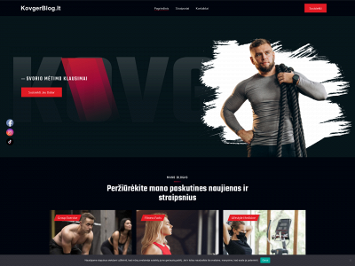 kovgerblog.lt snapshot