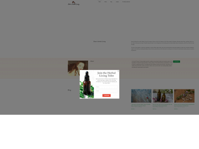 shansherballiving.com snapshot