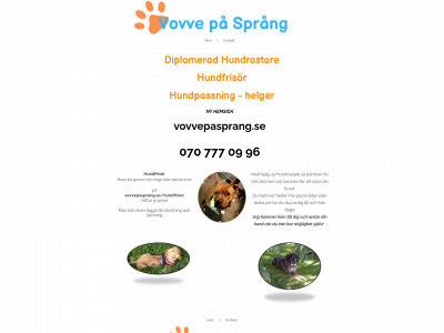 halmstadhundrastning.nu snapshot