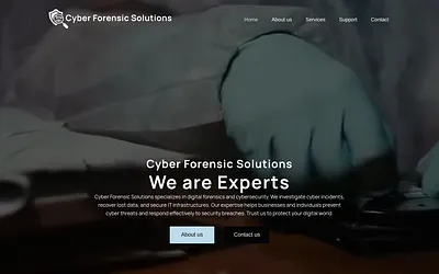 cyberforensicsolutions.com snapshot