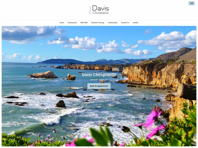 mdavischiropractic.com snapshot