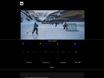hockeygrepp-uf.se snapshot