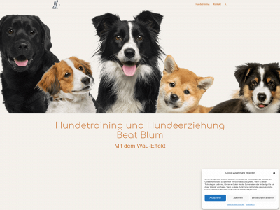 hundetraining-blum.ch snapshot