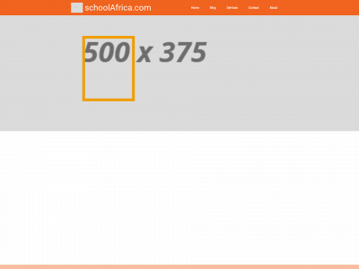 schoolafrica.com snapshot