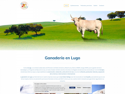 acruga.es snapshot