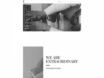 www.cocibus.com snapshot