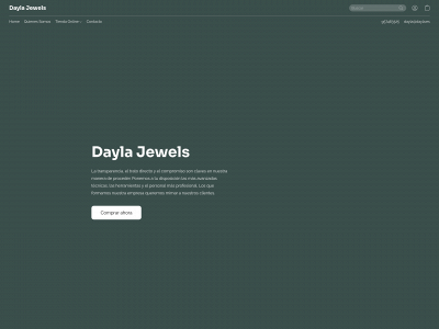 www.daylajewels.com snapshot