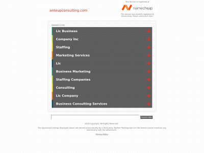 anteupconsulting.com snapshot