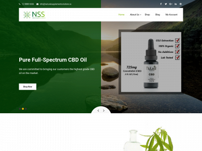 naturalsupplementsolutions.ie snapshot