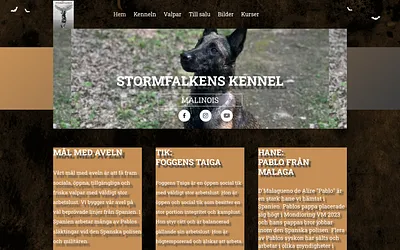 stormfalken.se snapshot