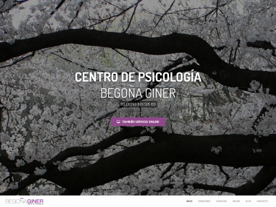 psicologaginer.com snapshot