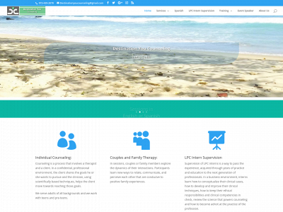 destinationyoucounseling.com snapshot