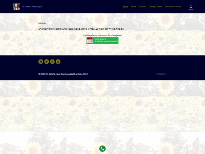 drsarahlowen.com snapshot