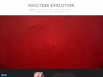 www.soultreeevolution.com snapshot