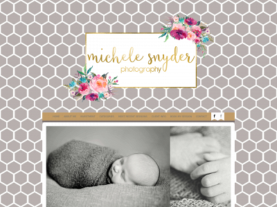 michelesnyderphotography.com snapshot
