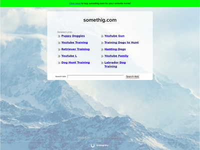 somethig.com snapshot