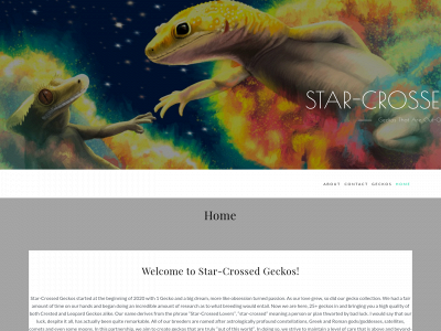 starcrossedgeckos.com snapshot