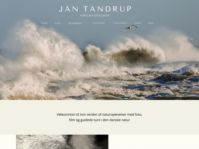 jantandrup.dk snapshot