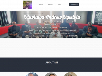 riskyphenomenon.com snapshot