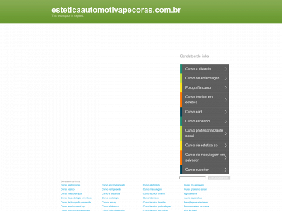 esteticaautomotivapecoras.com.br snapshot