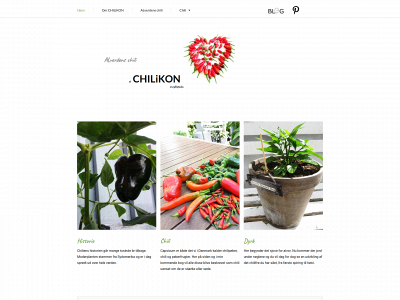 chilikon.dk snapshot
